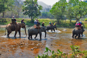Nature-Tours-in-Phuket,-Khao-Sok-&-Khao-Lak